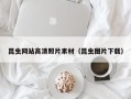 惠东昆虫网站高清照片素材（昆虫图片下载）